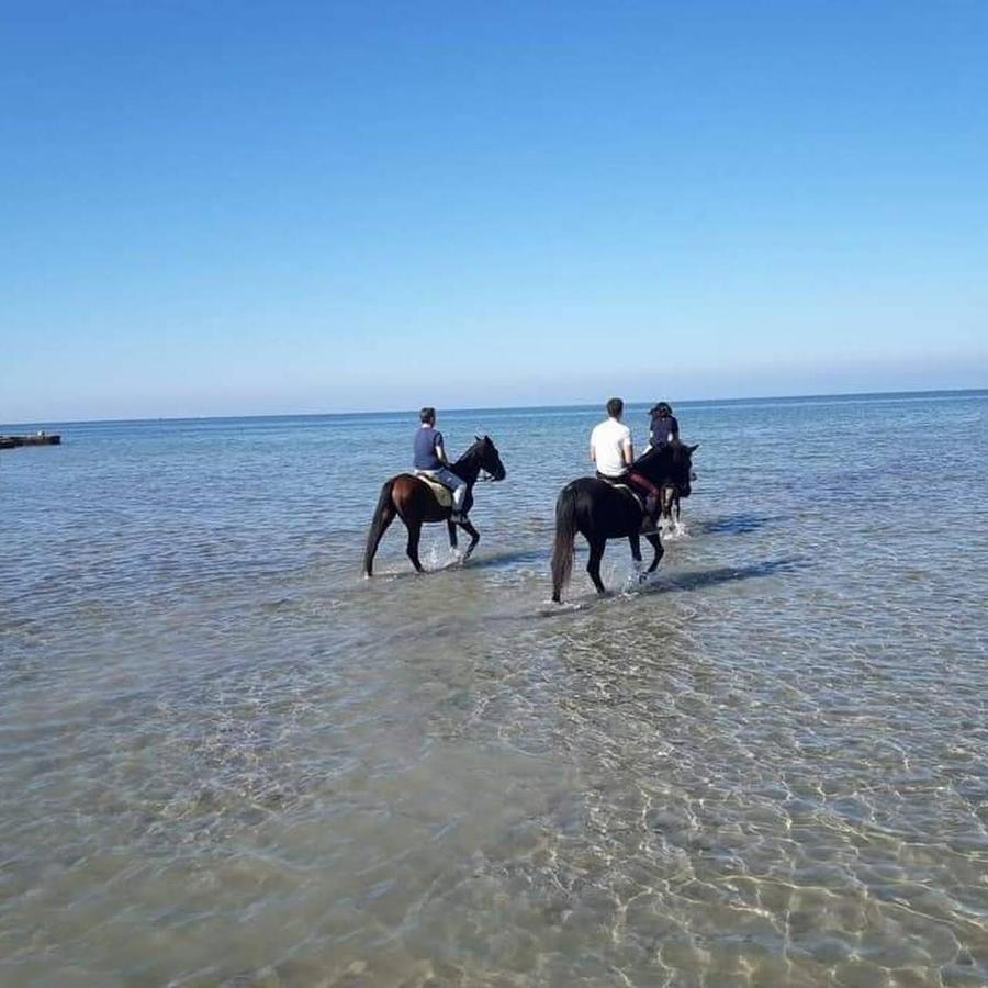 Kite House Marsala Stagnone Bed & Breakfast ภายนอก รูปภาพ
